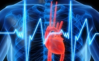 Ο υγιεινός τρόπος ζωής μπορεί να προστατεύσει από την καρδιακή ανεπάρκεια